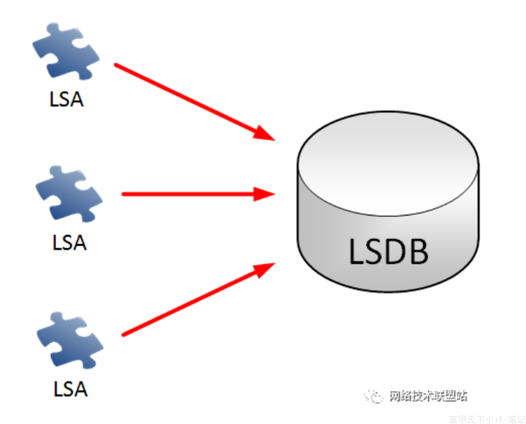LSDB
