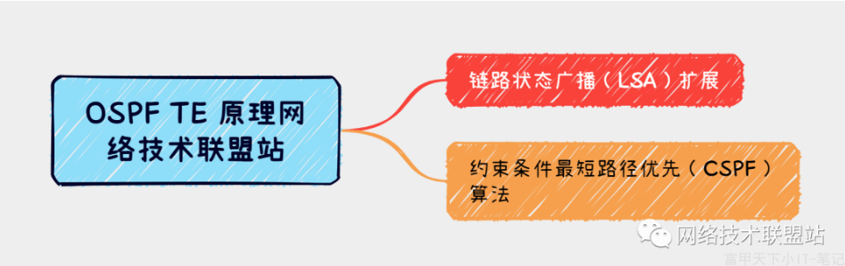 OSPF TE 原理