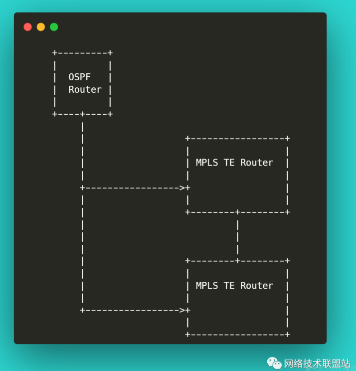 OSPF TE 架构图