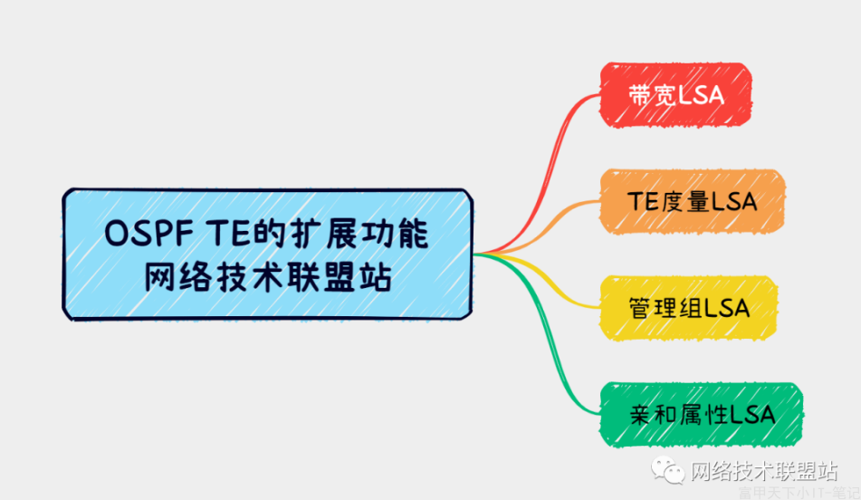 TE 扩展功能